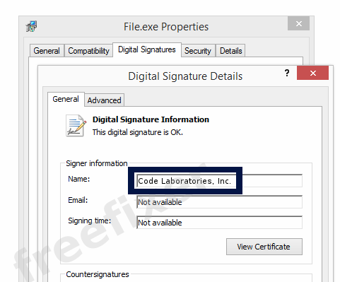 Screenshot of the Code Laboratories, Inc. certificate